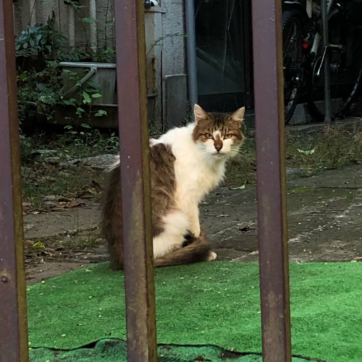 04d71e13 0062 4f89 ba31 80150551690d 1600705772366