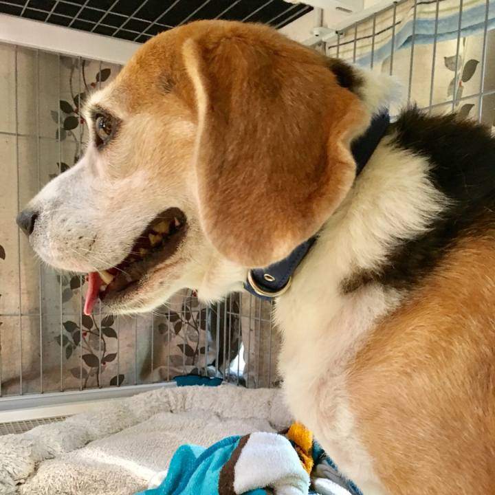 04d71eed 1f35 41a1 9f93 2ff14c0ba97d 1754731314457