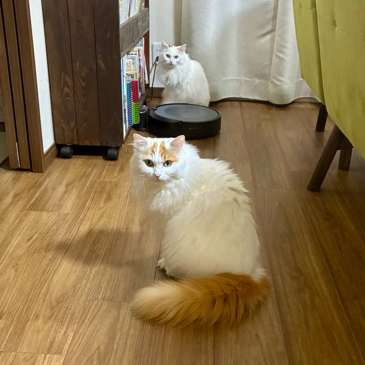 04d745f2 73a8 4a83 8c18 f116893a6435 1760412853535