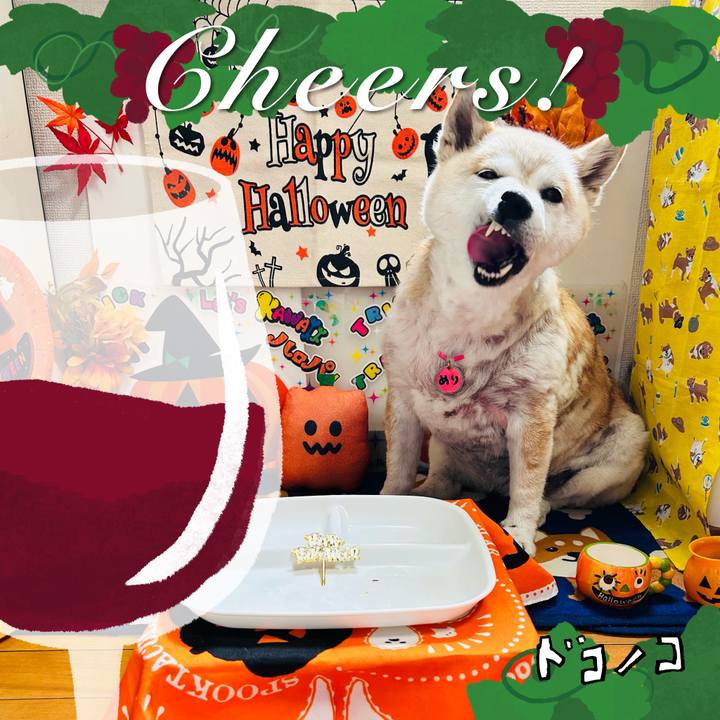 04d74eff da71 40f2 a157 988fba1d7a0a 1761128771449