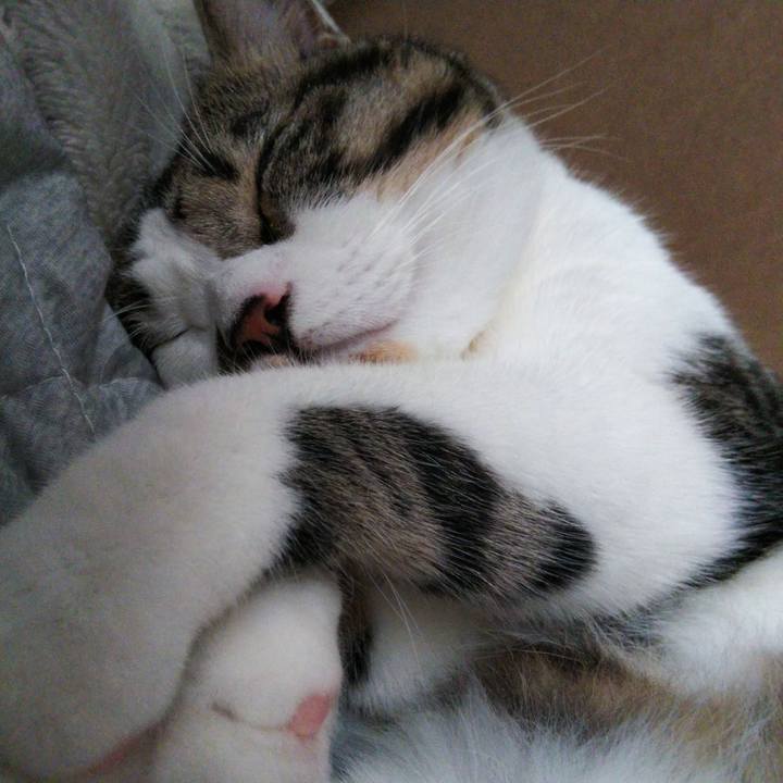 04d76582 ac84 42bd 8e74 4f6b8736150a 1629619990210