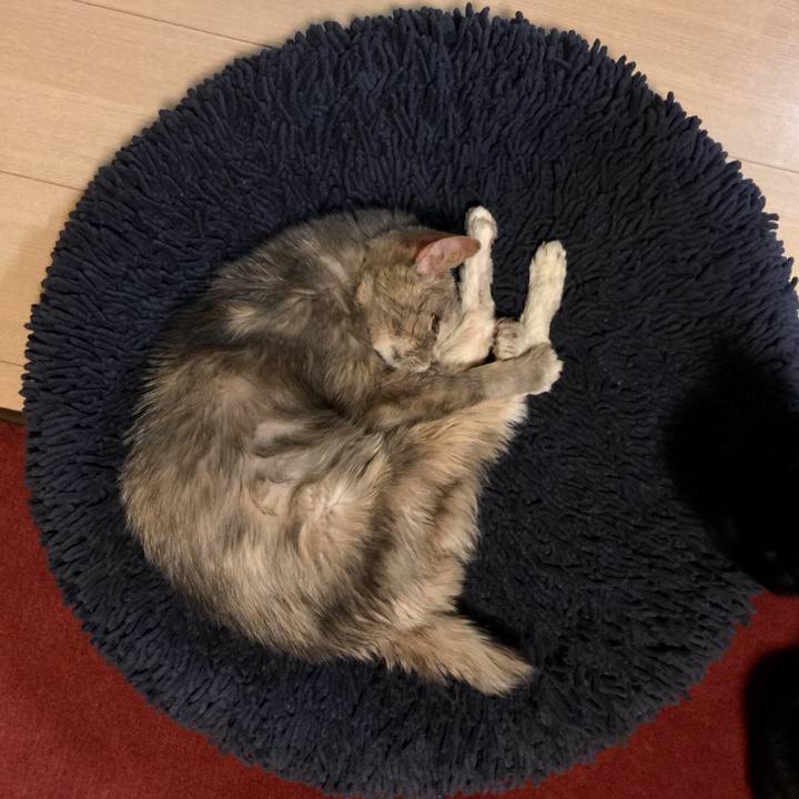 04d78111 fa9b 4b8f ad8b 880037a38535 1513868407601