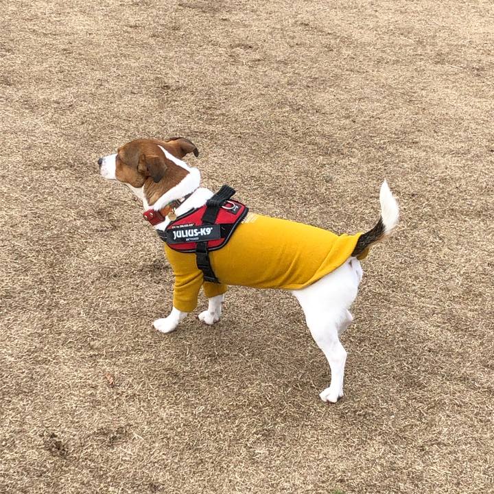 04d7916f 2e43 4eb5 85f9 5e15ed0114b7 1709371444713