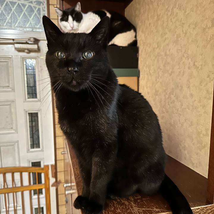 04d7c298 339a 4952 b380 6dd30cfe9f85 1677808325427