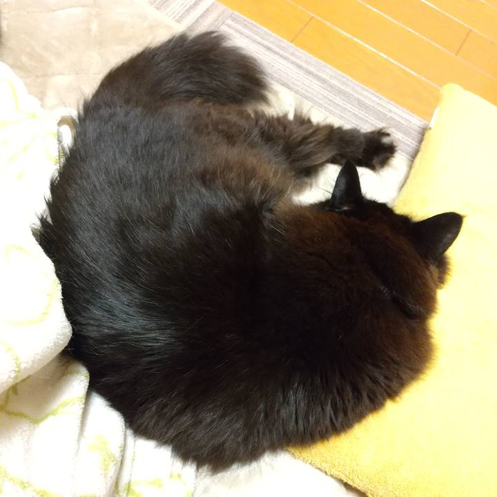 04d7d456 c353 489b 908c cda32aa31feb 1649237150165