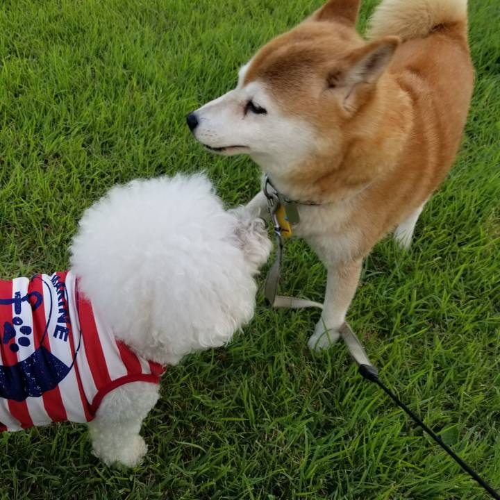 04d7f7c6 7405 42f3 b3b8 fd0fe00a2564 1627634496191