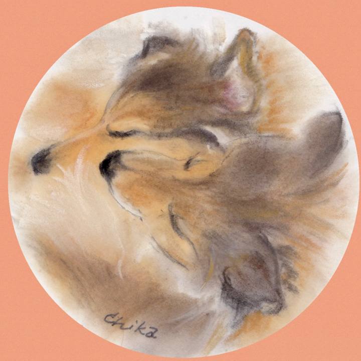 04d81410 a87e 46c5 b82a b0601121d68d 1728093948951