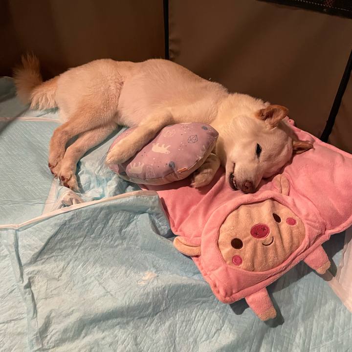 04d8226e 7429 4864 8444 31a8dad8ae48 1651586328442