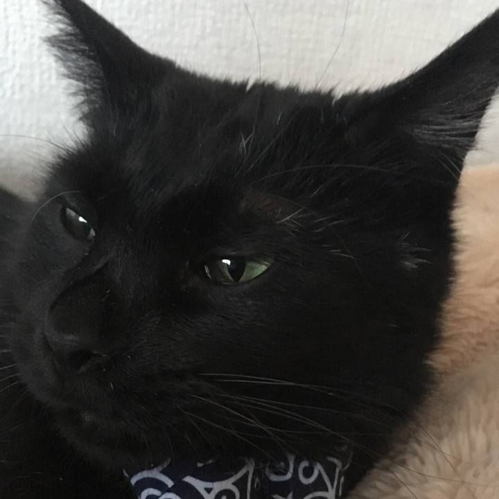 04d84dfb 1362 498d b623 2ea66e049721 1548487623747