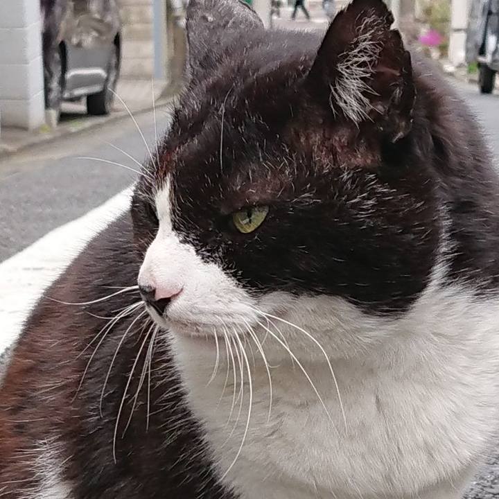 04d871e5 84a5 4556 af7a 276bc893d317 1649129448964