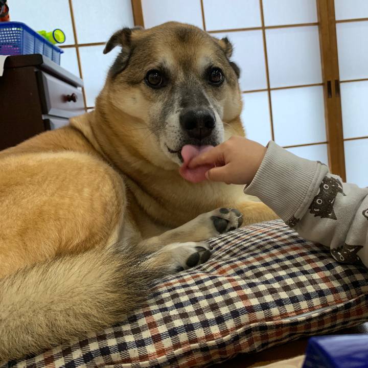 04d88d53 7177 4f34 b096 2c1e83d213b7 1578198848361