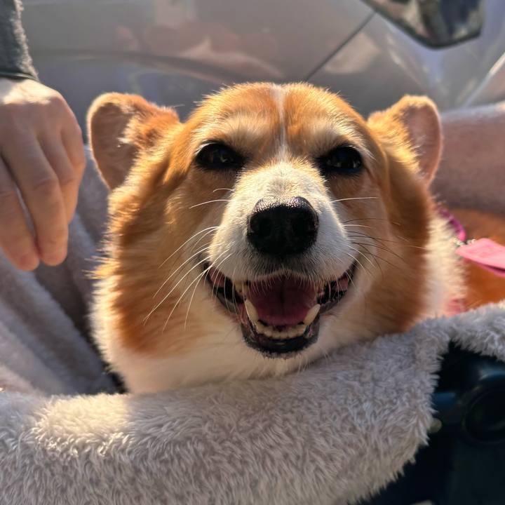 04d8dd16 54dc 4cfa b2ad a84661845f95 1734320243386