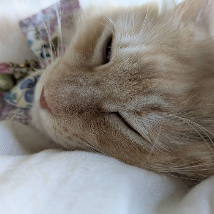 04d8f3d3 5e69 4154 aac1 28054fefb645 1760227799645