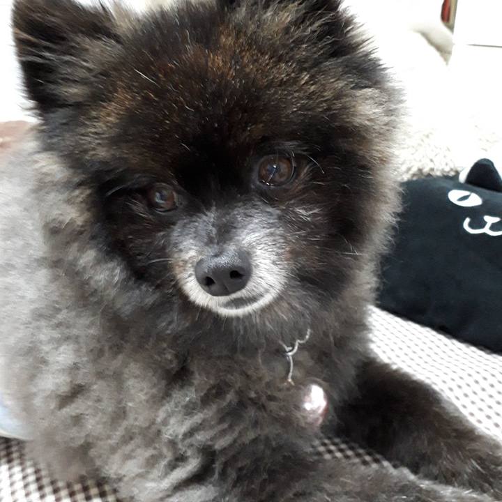 04d9212f 07e8 4244 8f14 5fa35a7389fd 1542314180070