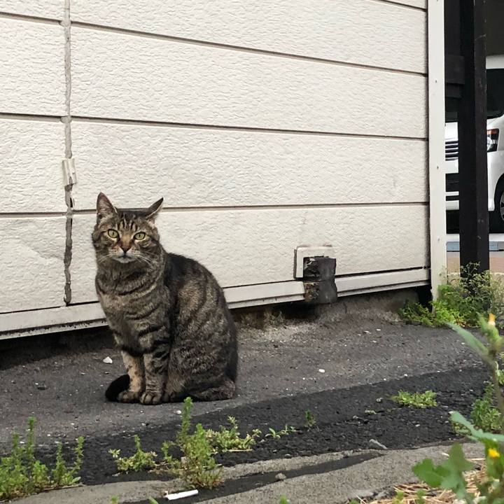 04d9278f 7004 432b 928c ff851be2b76c 1524599061214