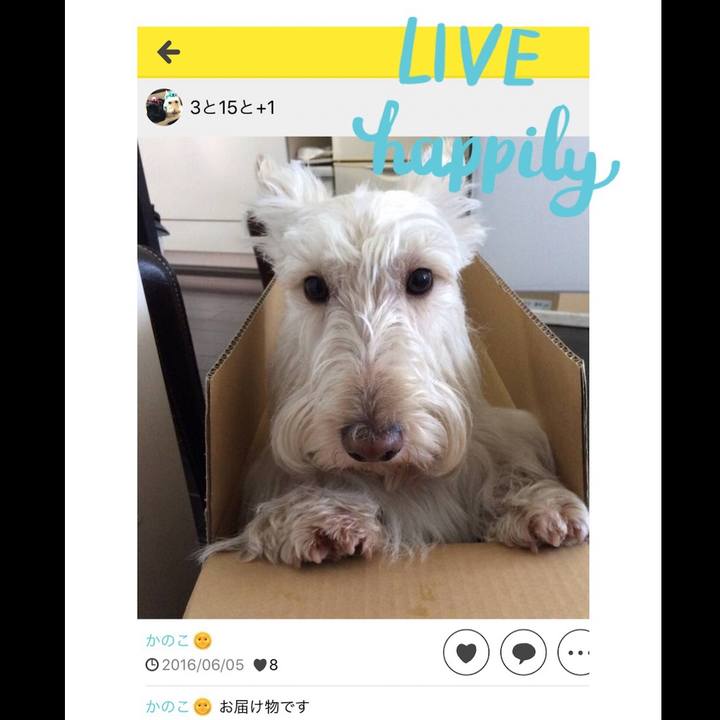 04d9668a 7bf9 45d7 8324 548cedc5671b 1591302052772