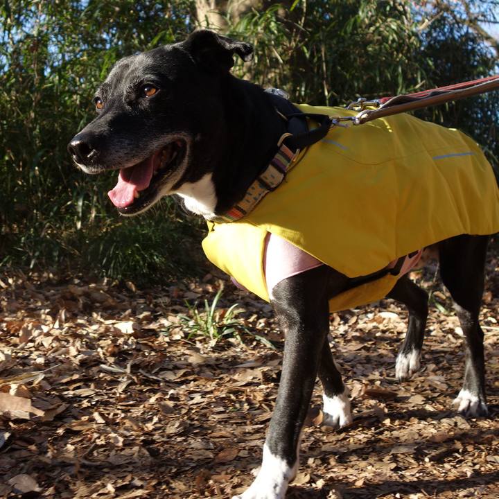 04d99831 01e7 4573 8513 8dad2ba3b512 1739058621309