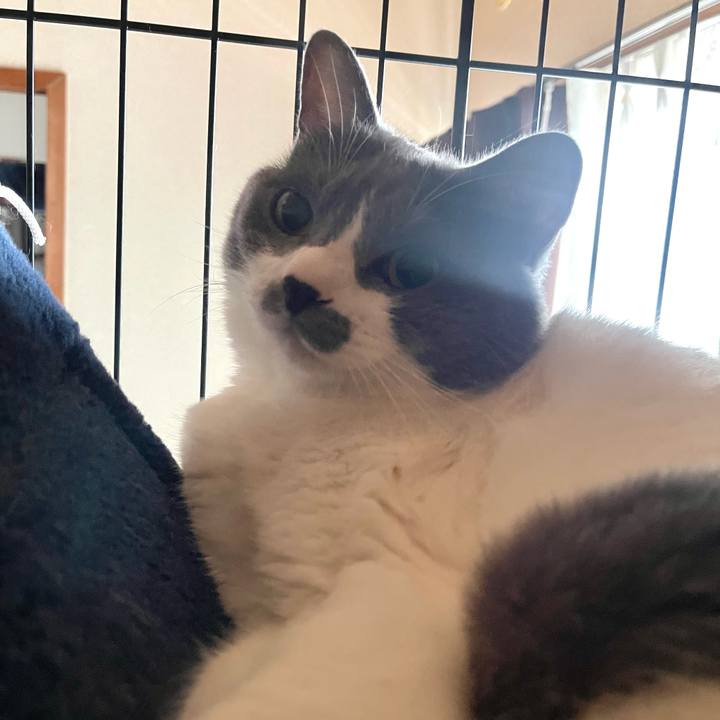 04d9a801 7d46 407c 93e8 77d93156d5fd 1691538347218