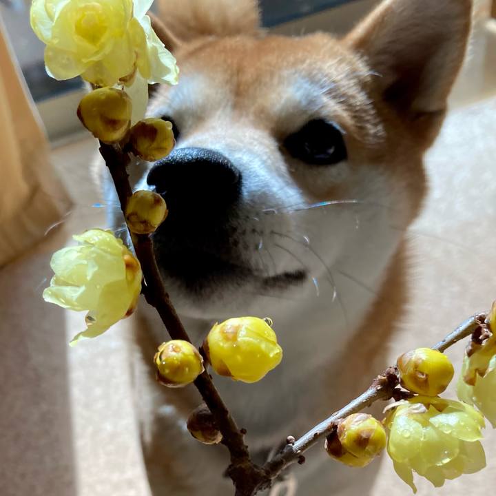 04d9c295 778f 44f2 88f6 80a2665cf0c5 1644029662288