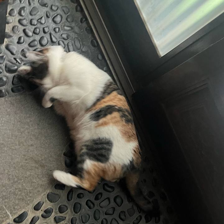 04d9cd24 ac96 43ff b086 de02d5691ae4 1771310308524