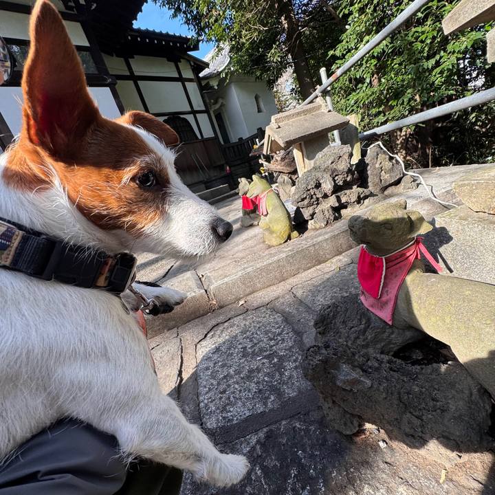 04d9cf46 ecbb 4db3 a349 1ea51c9643ee 1767457416776