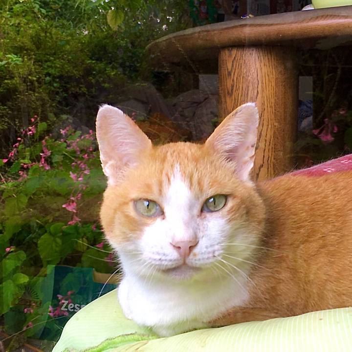 04d9d244 2c46 4c91 aca7 90cfb33a93ec 1600067021187