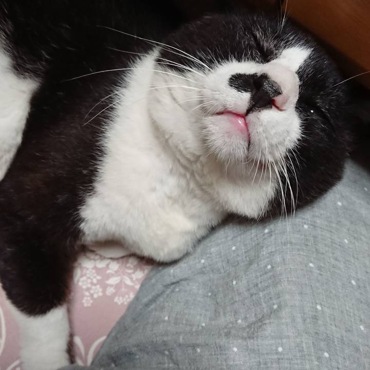 04d9e067 ece3 478a b9e5 e1aac6689912 1634075933532