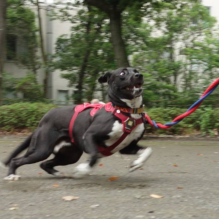 04d9e239 879f 42a5 abf5 59b14c9512ba 1593129025417