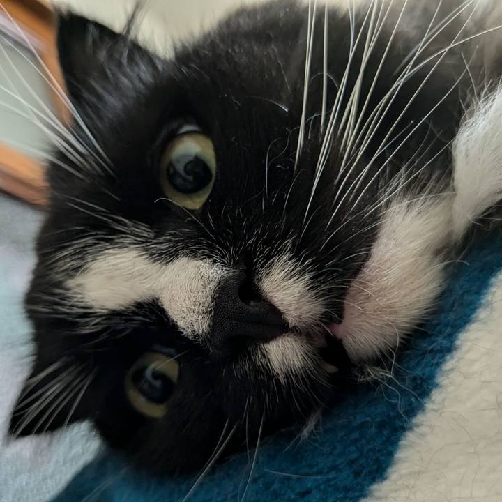 04d9f426 a3fe 4935 80d6 ee1631371c15 1721997283178