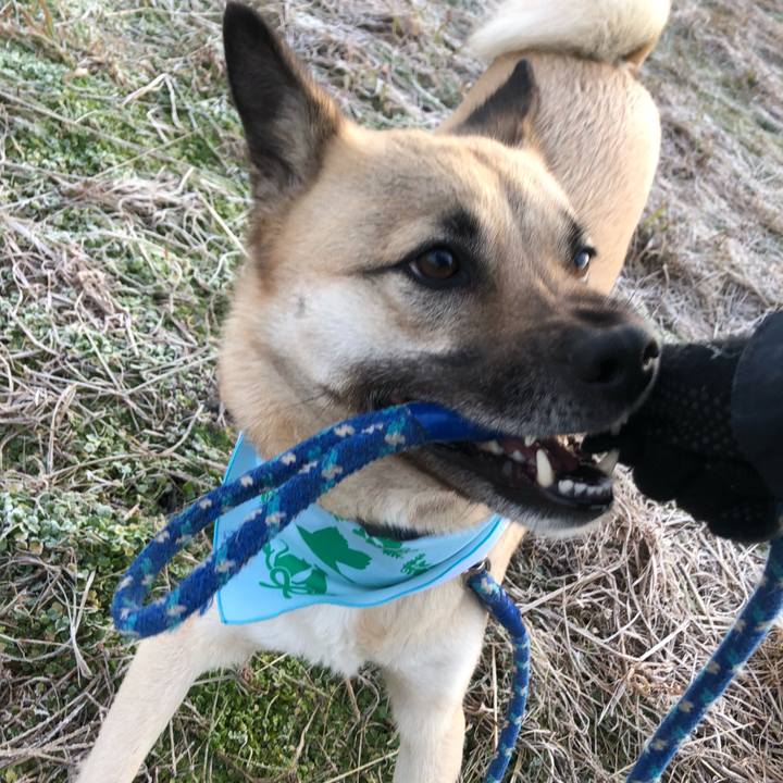 04da79e5 f012 4fb0 8447 651dc8ff9081 1582112146762