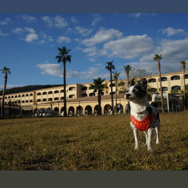 04da8a82 304f 4e09 bb68 6096b6affc2e 1698580445257