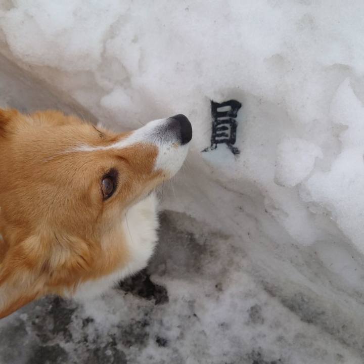 04daa031 7b32 4379 ba83 ae8696740900 1772754207704