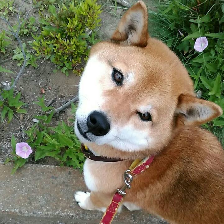 04dac135 8b27 40a0 bd98 85ff69c5064f 1557836261068