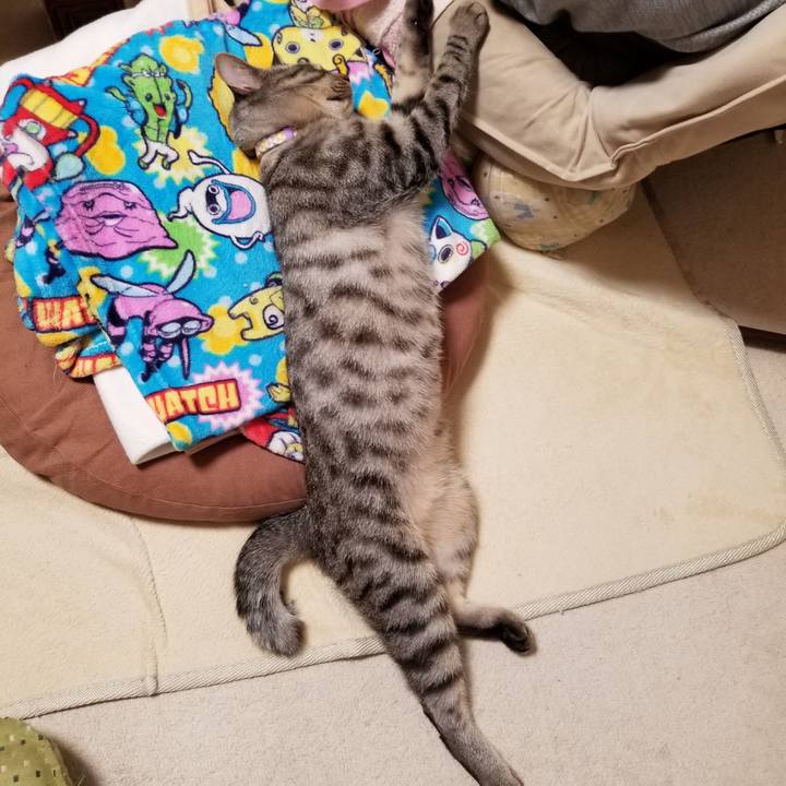 04dadc72 9369 4838 8194 b37d04ddcd51 1680535627099