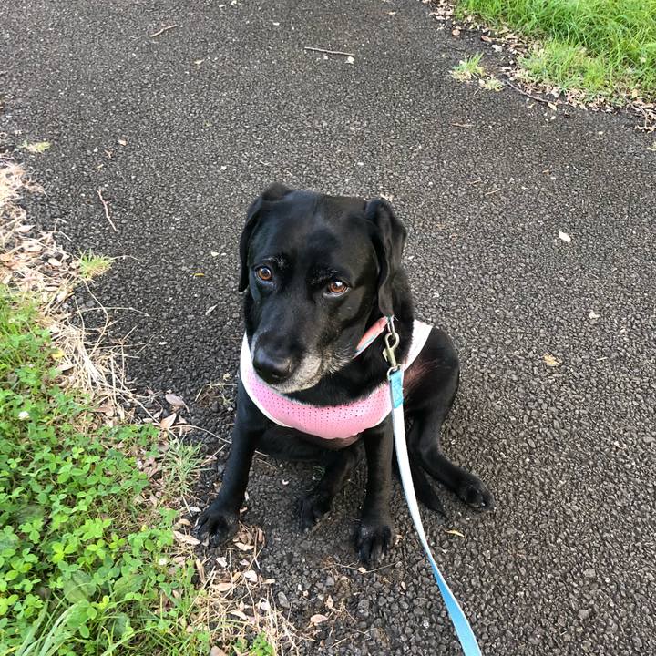 04dbc3ad 9c92 419f a1f7 c78bcb64815f 1537345121994