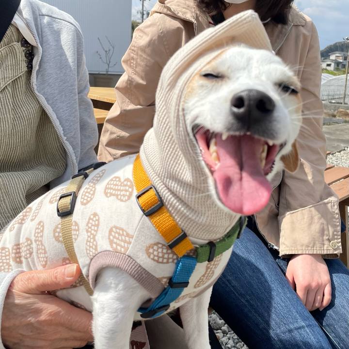 04dbf872 ec2d 4fc3 b03a d488a8c8662d 1648208941729