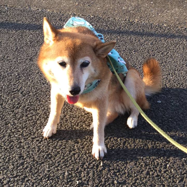 04dc069c 5623 4c80 89d5 67e30060bc3c 1627204191084