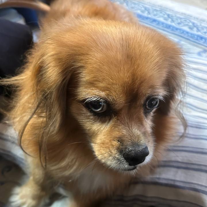 04dc4fec c554 4bdc 80a2 235c9a70ea0f 1728336225987