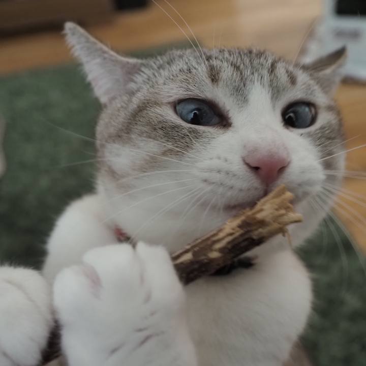 04dc5ae9 6a72 4a31 945e 936ecb1e498c 1610965216124