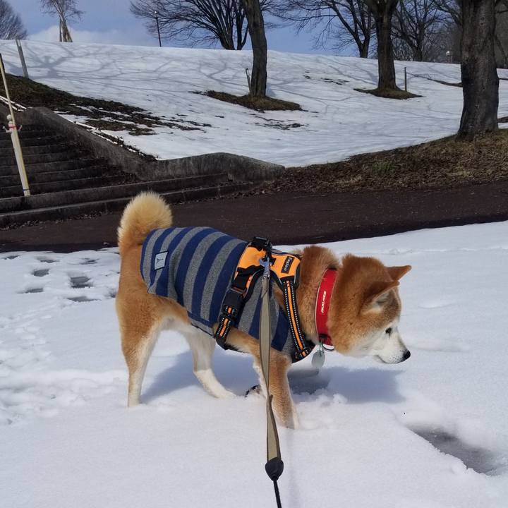 04dc635e d274 419e b36f 7f650e88b8aa 1709866685001