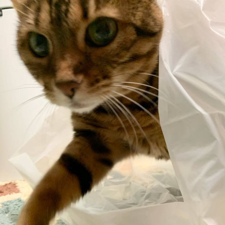 04dcb543 547e 4910 af3c abed9ab48ac7 1610574785350