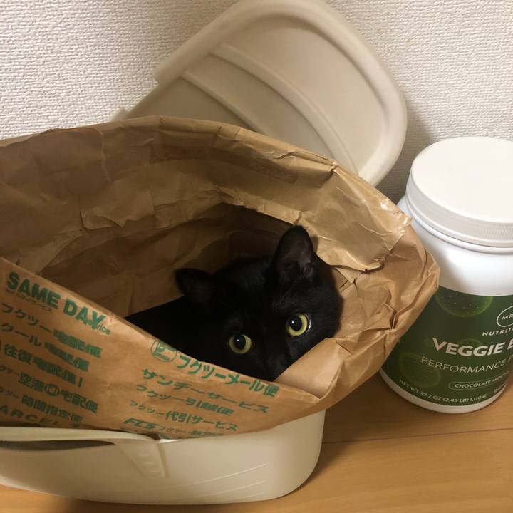 04dccba3 ef46 4aa4 808b 63cce2f526c2 1594890751296