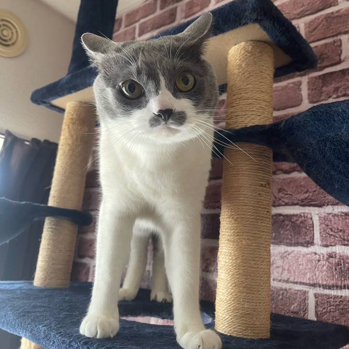 04dcf784 265e 4992 90dc e3109ce9788a 1748648238029