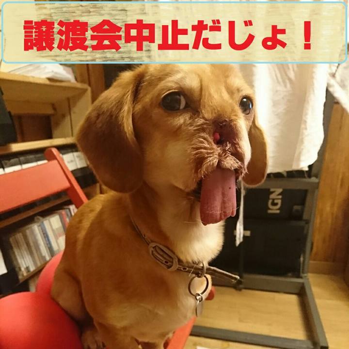 04dd0a02 2464 4da0 ad53 6b2502262f18 1564126335490