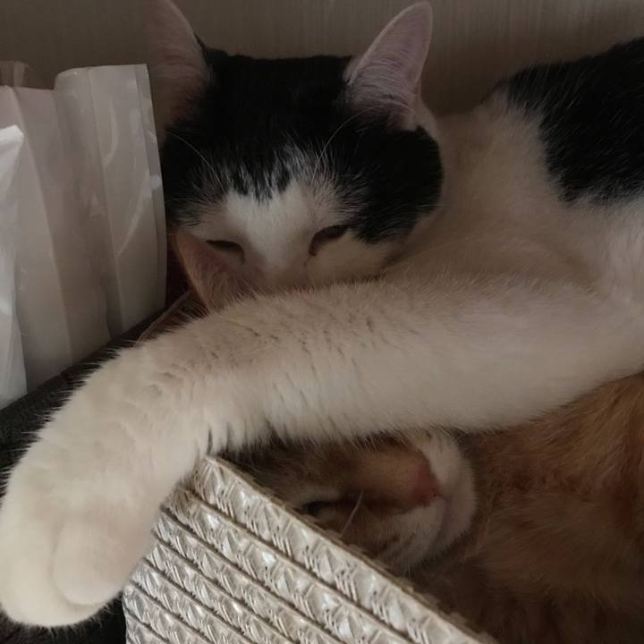 04dd1600 8e83 47d6 a4a4 bf29e8875e09 1560499932225