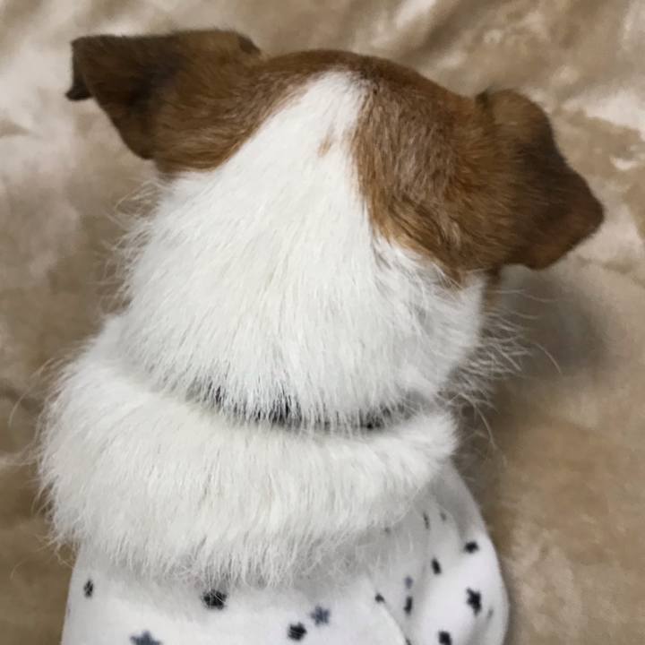 04dd56a9 e1cf 4119 8081 9617cd0e1f29 1550916007150