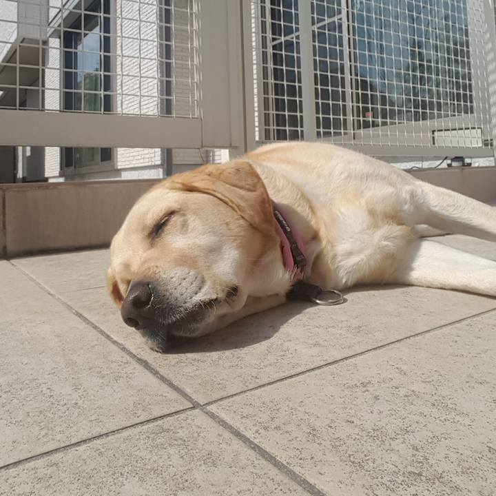 04dd7fe9 c47b 4ede b10a f8e564e6aa58 1519105386202