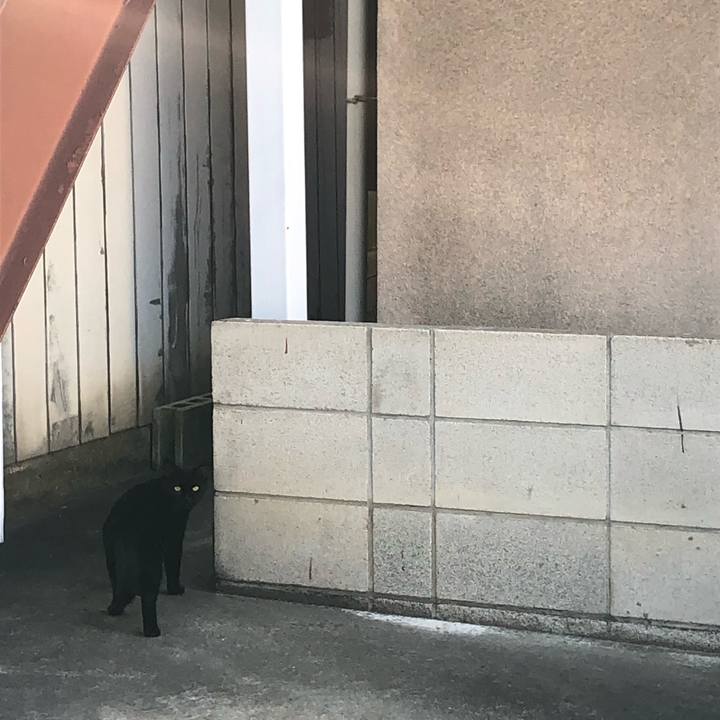 04dd815f 04af 4436 8623 d5864213f04f 1568318740096