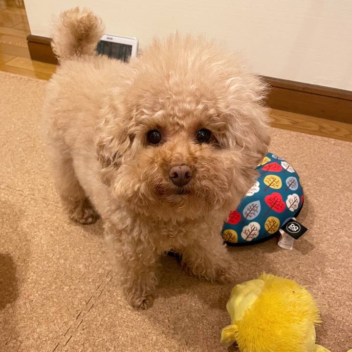 04dda828 8cab 4296 aa7b d0153741ea34 1610445833081