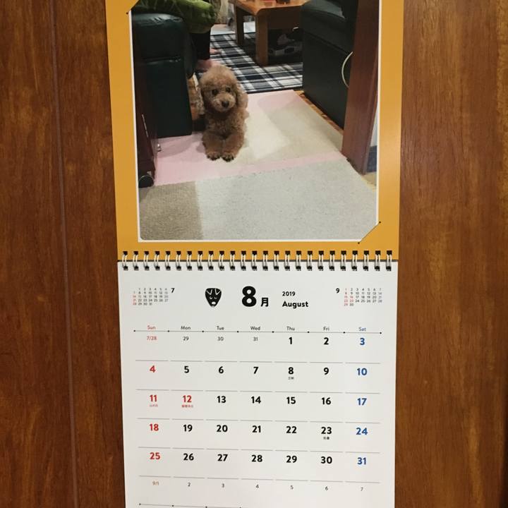 04ddb3d0 545a 4669 8741 c06fae4d8c00 1567260670880